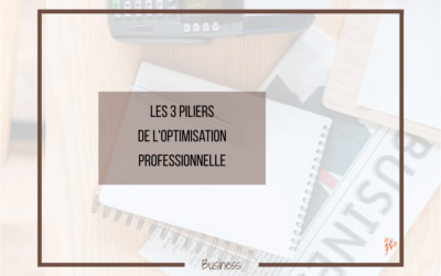 Les 3 Piliers de l&rsquo;Optimisation Professionnelle