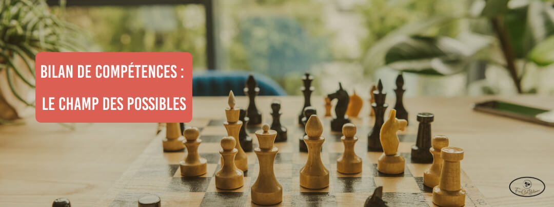 Bilan de compétences : Le champ des possibles