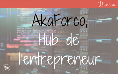 Le Hub de l&rsquo;entrepreneur : Pourquoi et pour qui ?