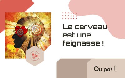 Le cerveau est une feignasse